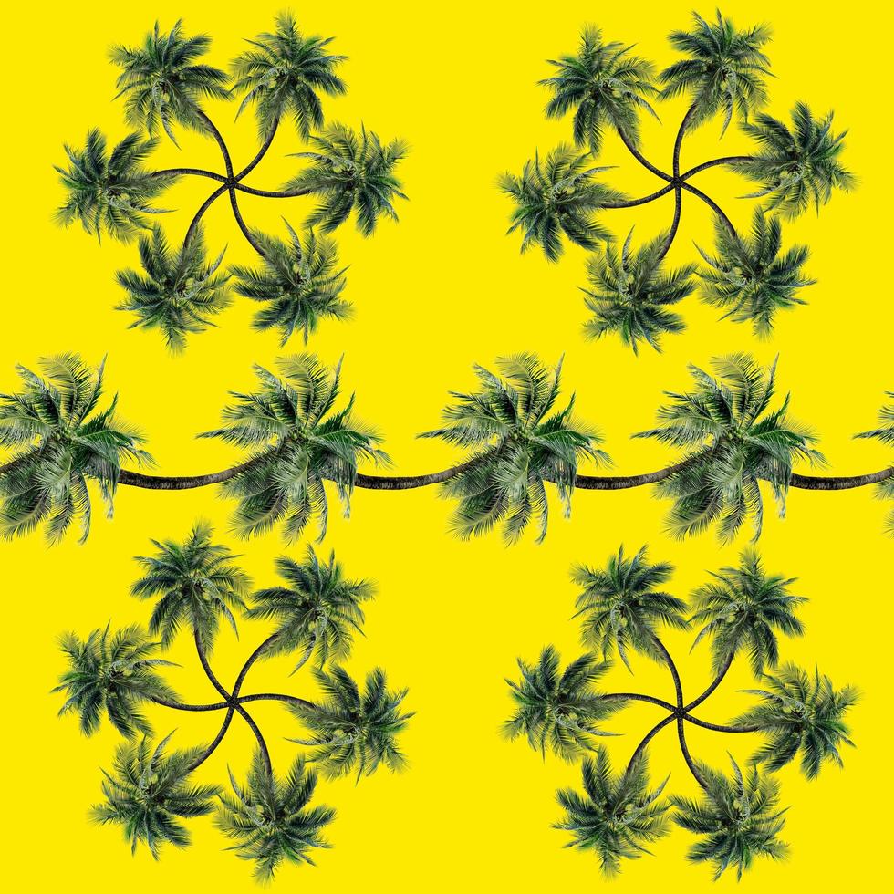 groene palmbladeren patroon voor natuur concept, tropische kokospalm geïsoleerd op gele achtergrond foto