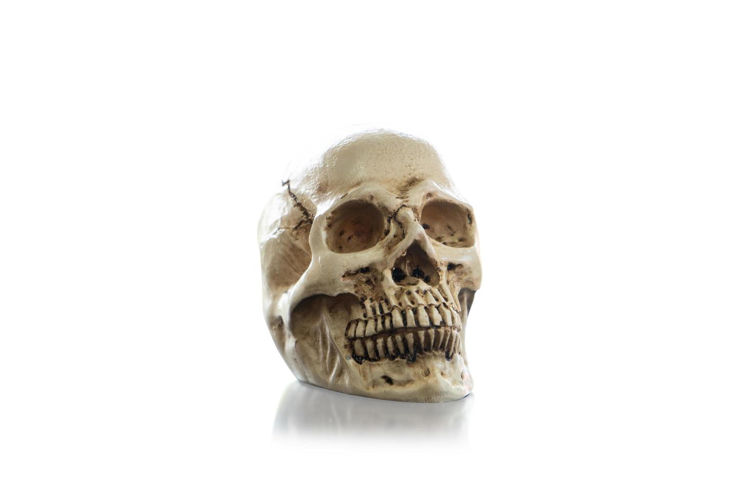 schedel op een witte achtergrond foto