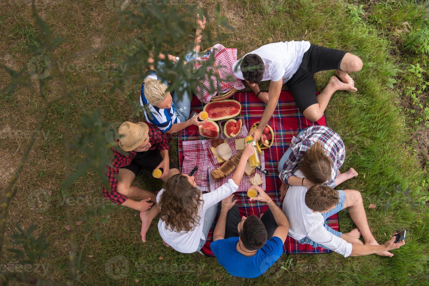 bovenaanzicht van groepsvrienden die genieten van picknicktijd foto