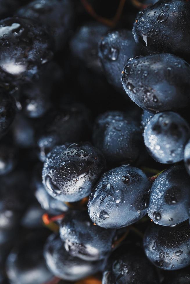 sappig fruit van zwart rijp druiven detailopname net zo textuur. foto