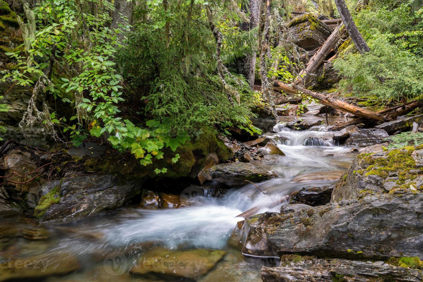 water stroomt langs holland creek in montana foto