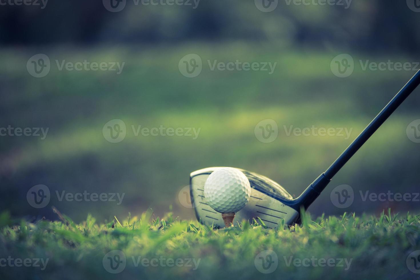 dichtbij omhoog van golf bal Aan een tee met golf club Aan de vaarweg. foto