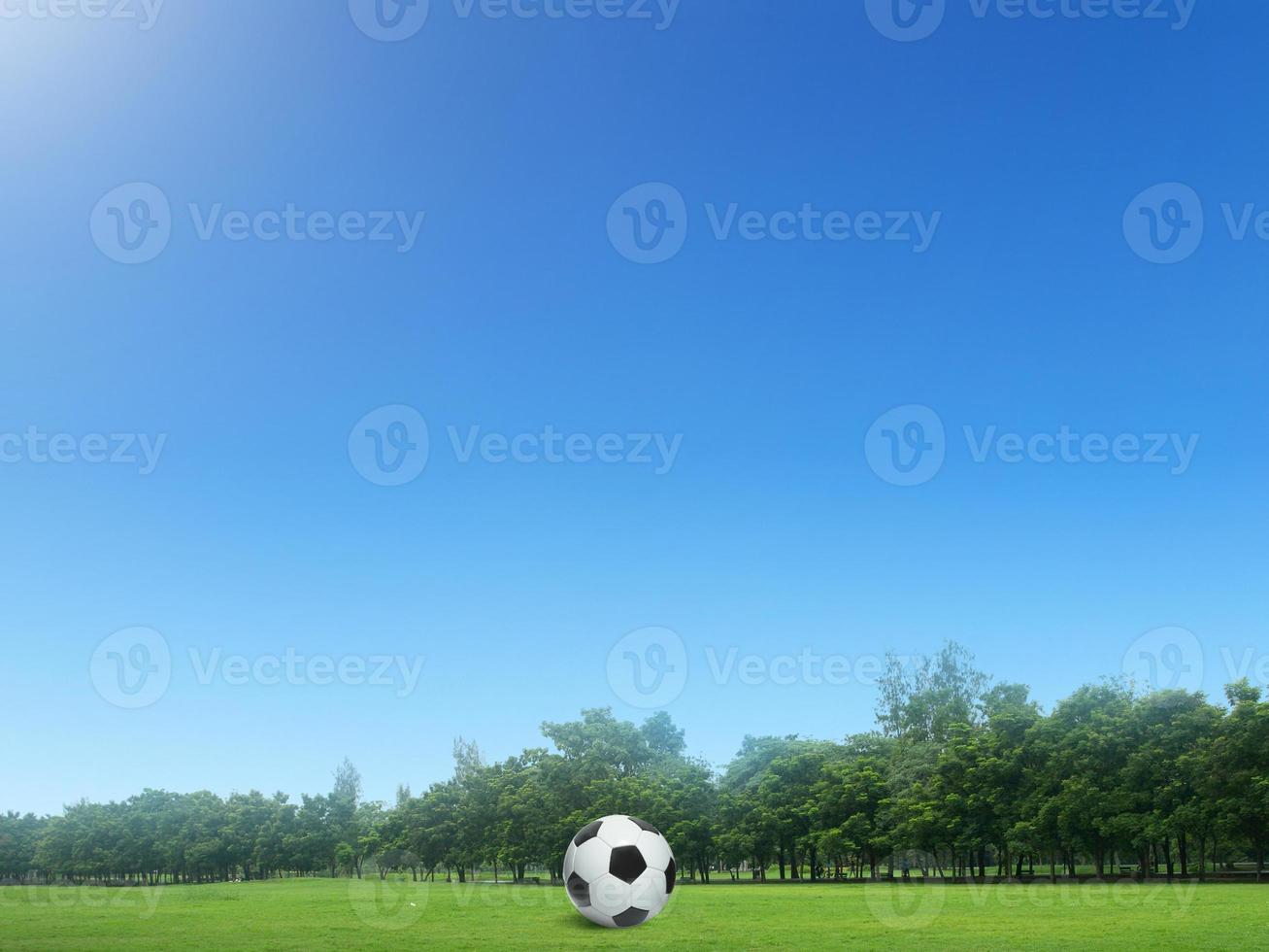 voetbal bal Aan groen gras in mooi Cursus in Thailand. voetbal bal Aan groen voetbal bal Cursus in ochtend- tijd met zacht zonlicht foto