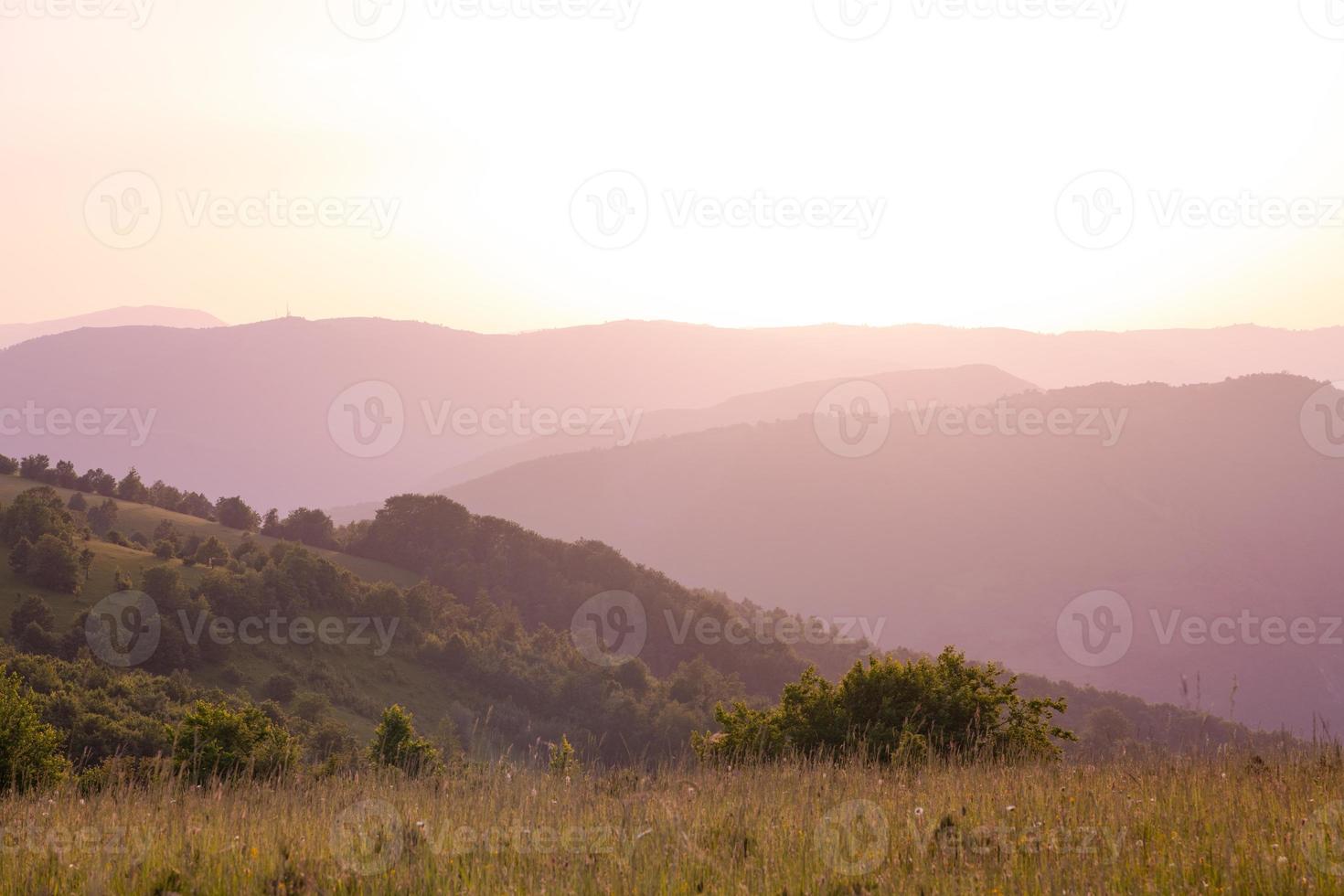 landschap natuur zomer foto