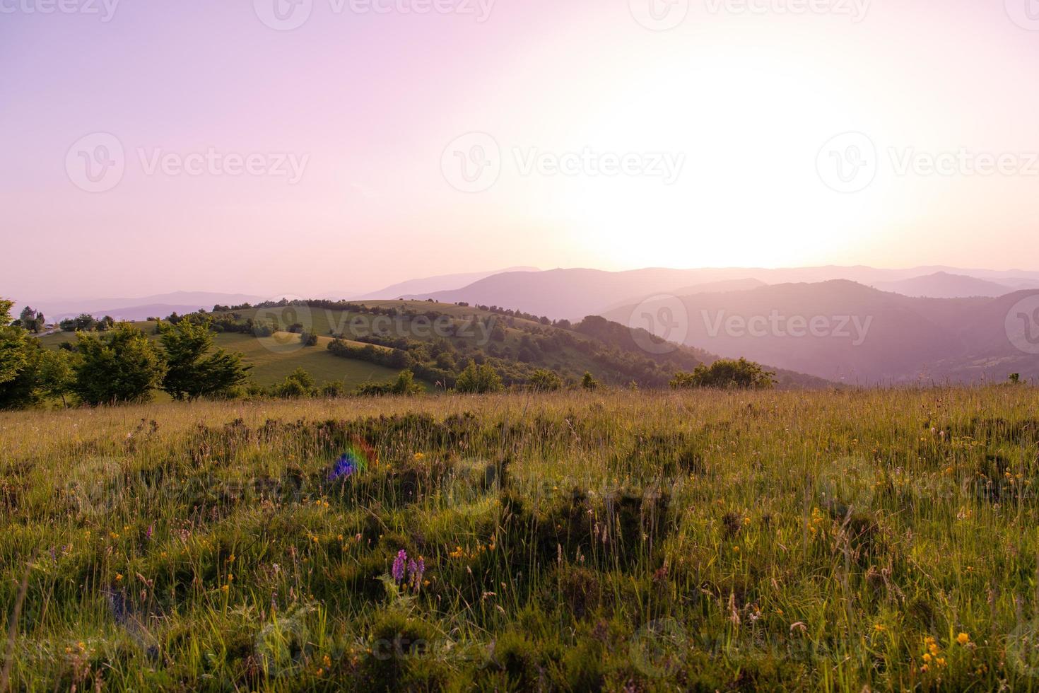 landschap natuur zomer foto