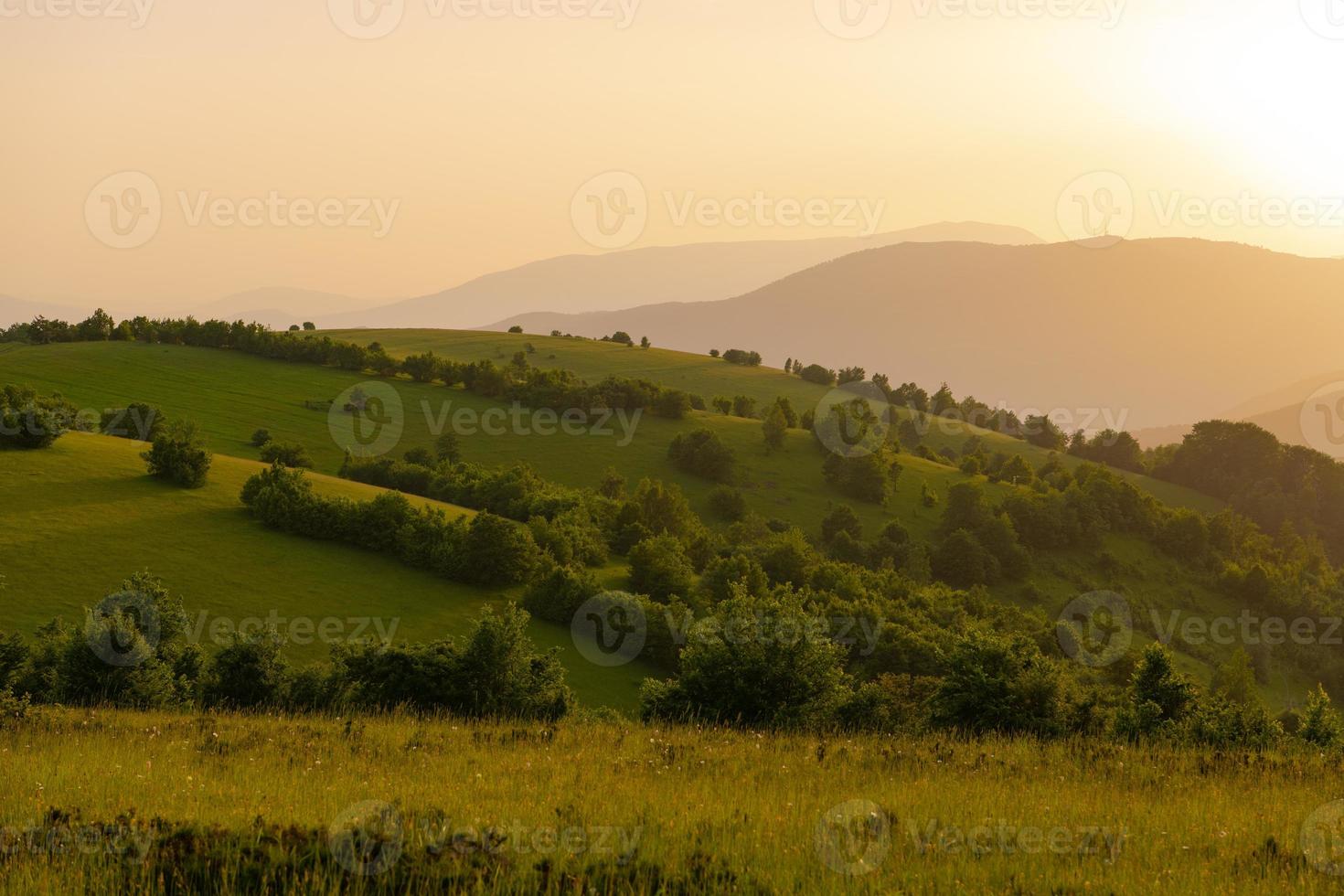 landschap natuur zomer foto