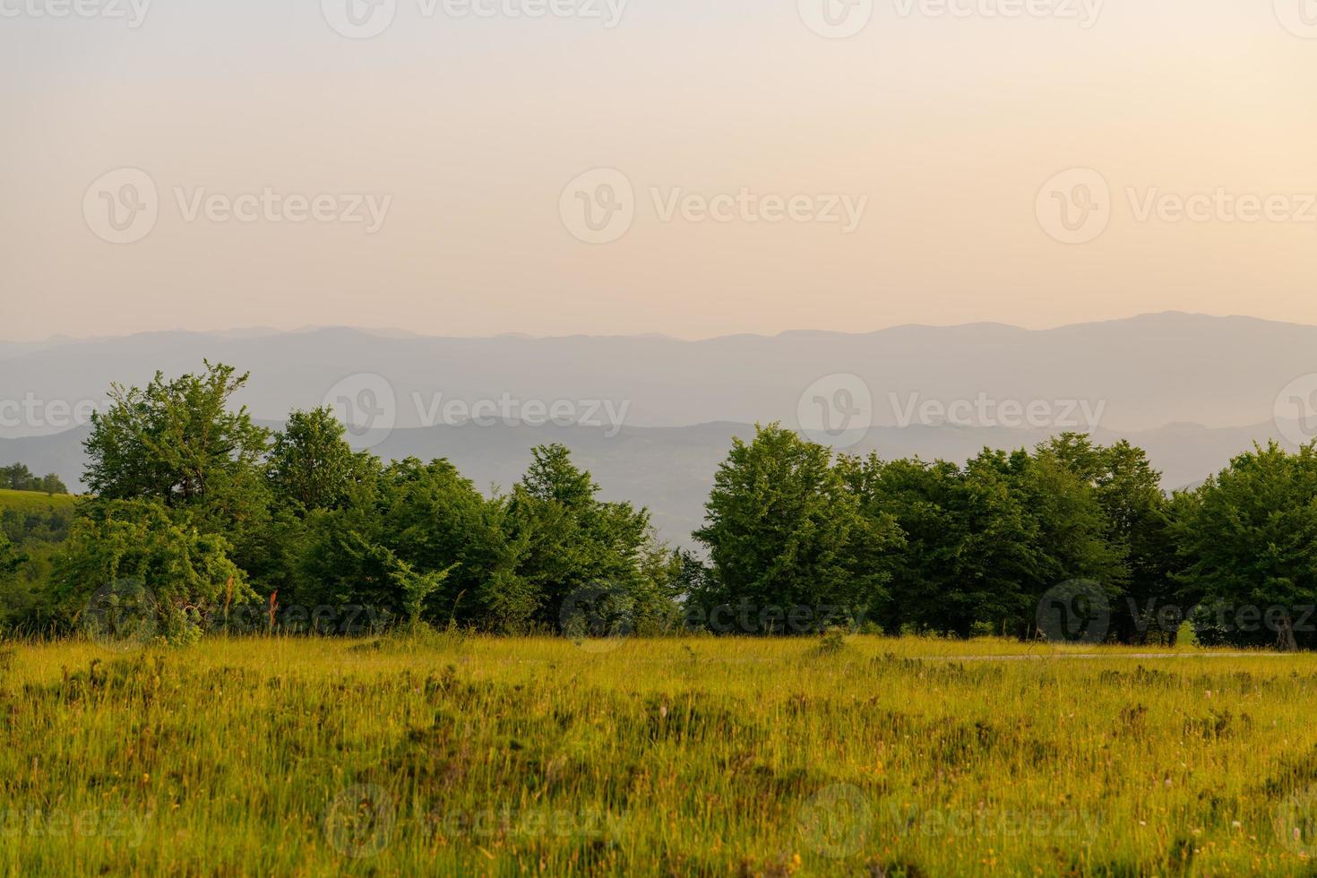 landschap natuur zomer foto