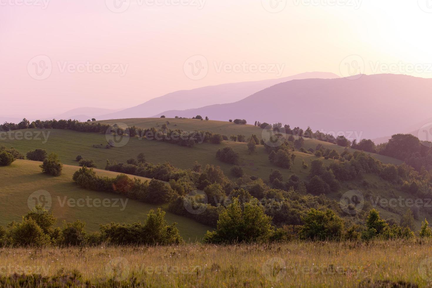 landschap natuur zomer foto