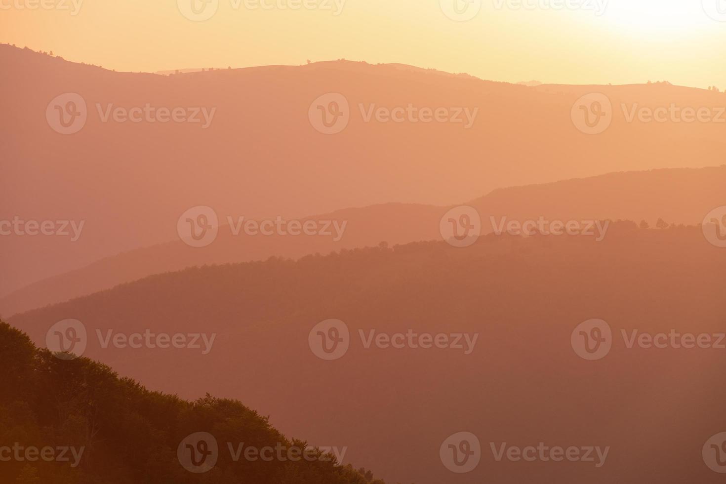 ultra paars Purper zomer landschap foto