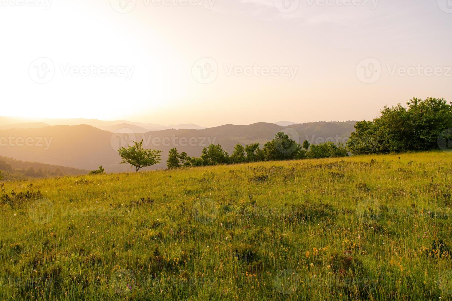 landschap natuur zomer foto