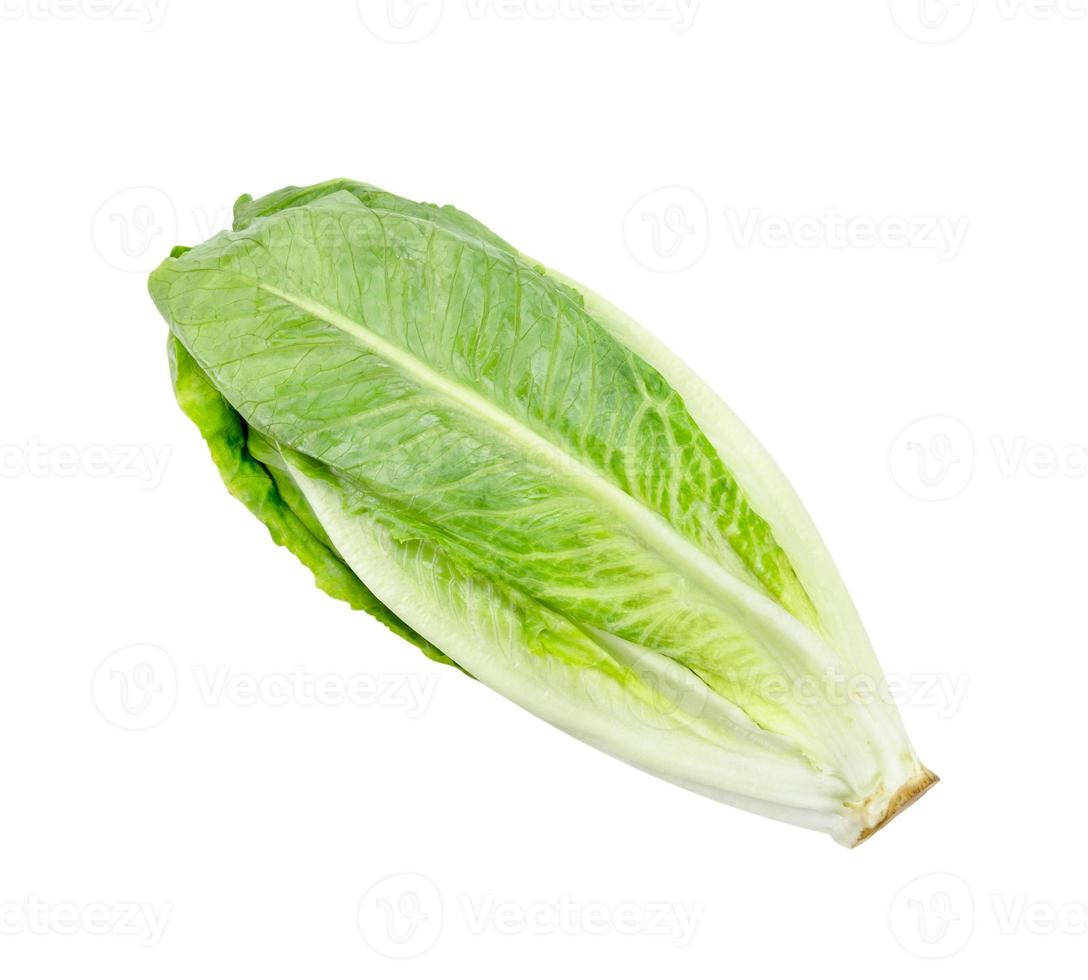 romaine sla geïsoleerd Aan wit, knipsel pad. foto