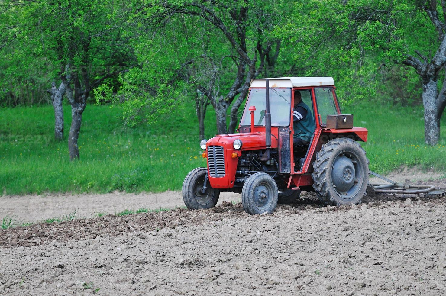 landelijk veld- landbouw foto