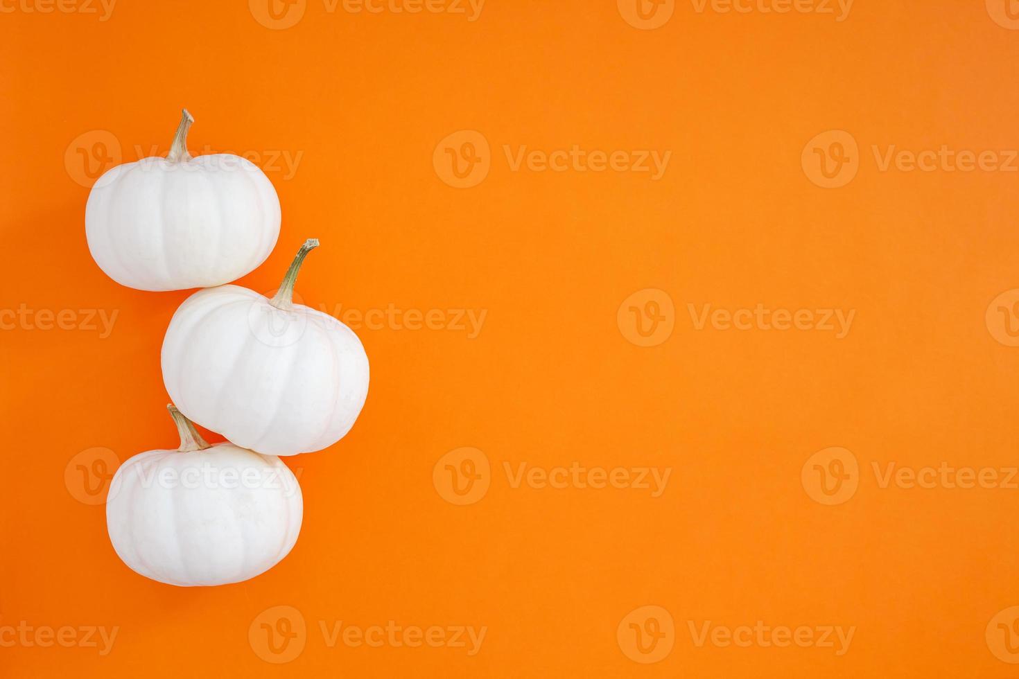 herfst vlak leggen samenstelling met wit pompoenen foto