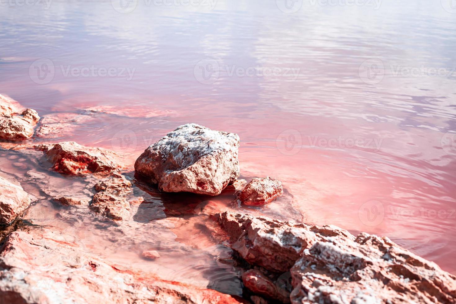 Torrevieja roze meer in alicante, Spanje foto
