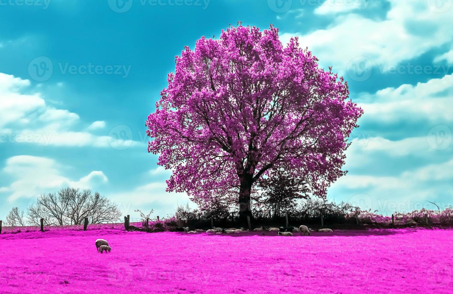 mooi roze infrarood schoten van een noordelijk Europese landschap met een diep blauw lucht foto
