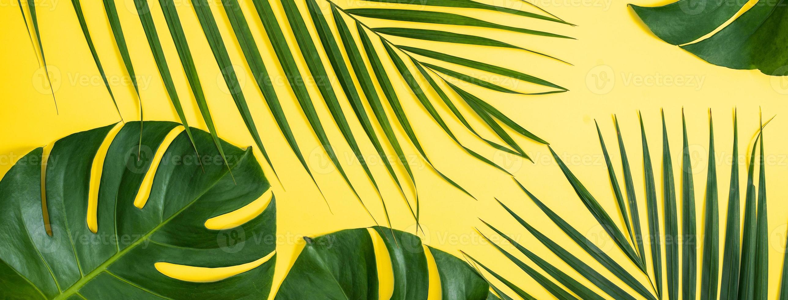 tropisch bladeren achtergrond, palm bladeren, monstera bladeren geïsoleerd Aan helder geel achtergrond, top visie, vlak leggen, overhead zomer ontwerp concept. foto