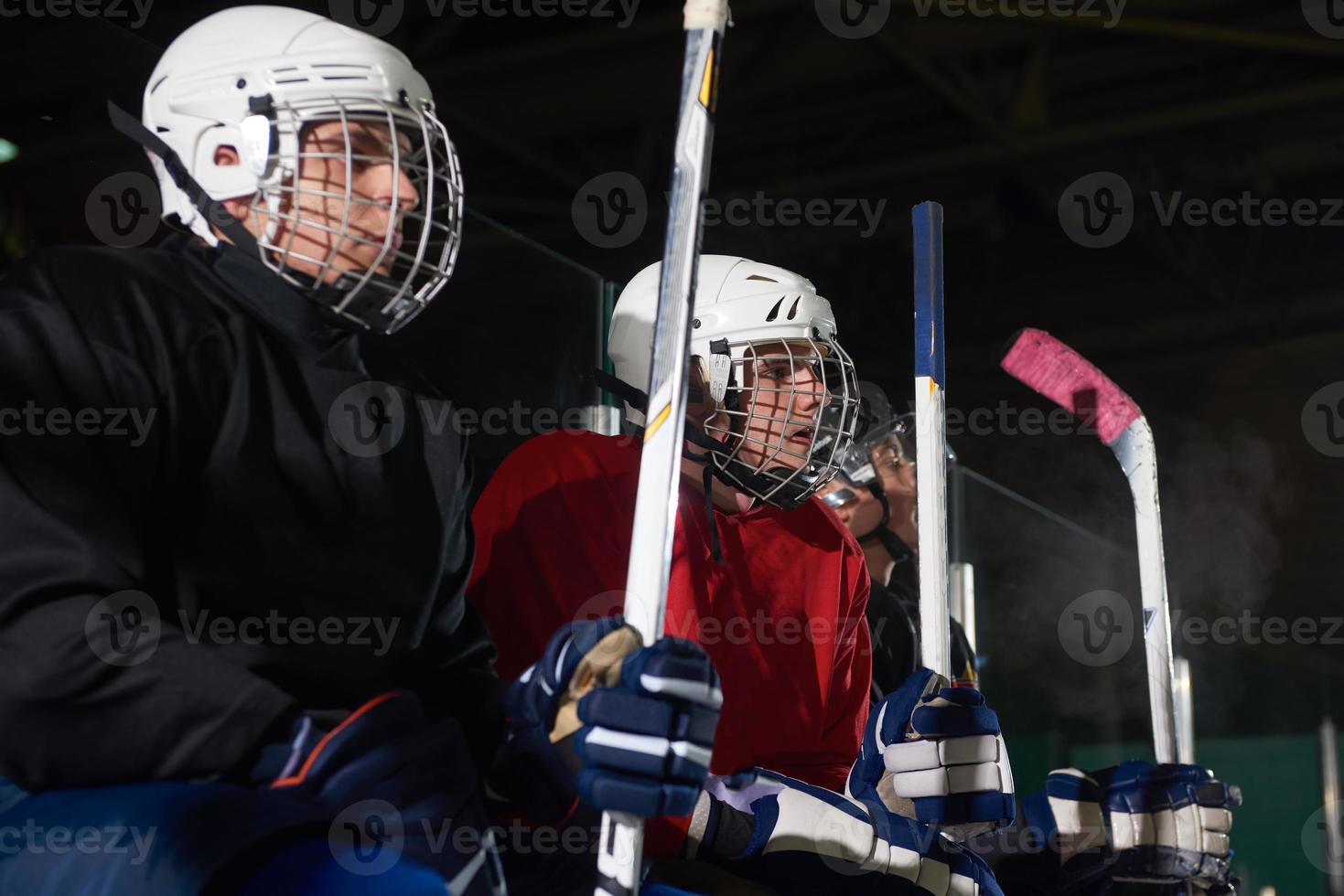 ijs hockey spelers Aan bank foto