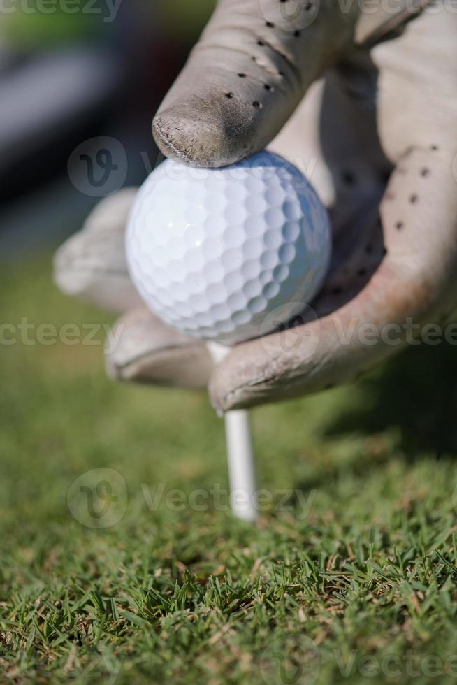 golf speler plaatsen bal Aan tee foto