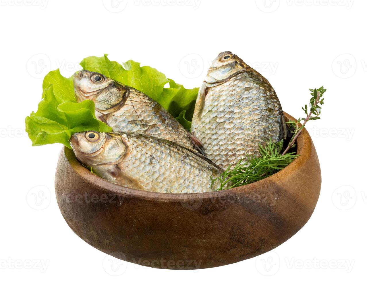 crucian vis in een kom Aan wit achtergrond foto
