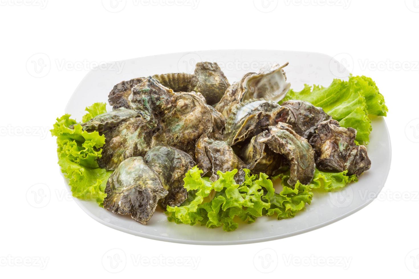 oester Aan wit foto