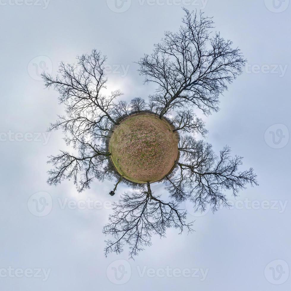 kleine planeet transformatie van bolvormig panorama 360 graden. sferische abstracte luchtfoto in eikenbos met onhandige takken in de late herfst herfst. kromming van de ruimte. foto