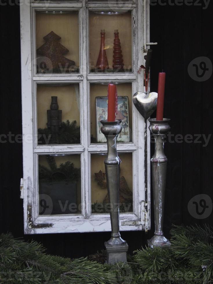 winter tijd in de tuin foto