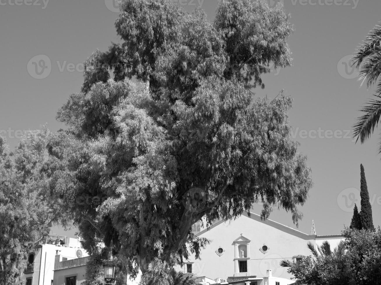 de eiland van ibiza foto