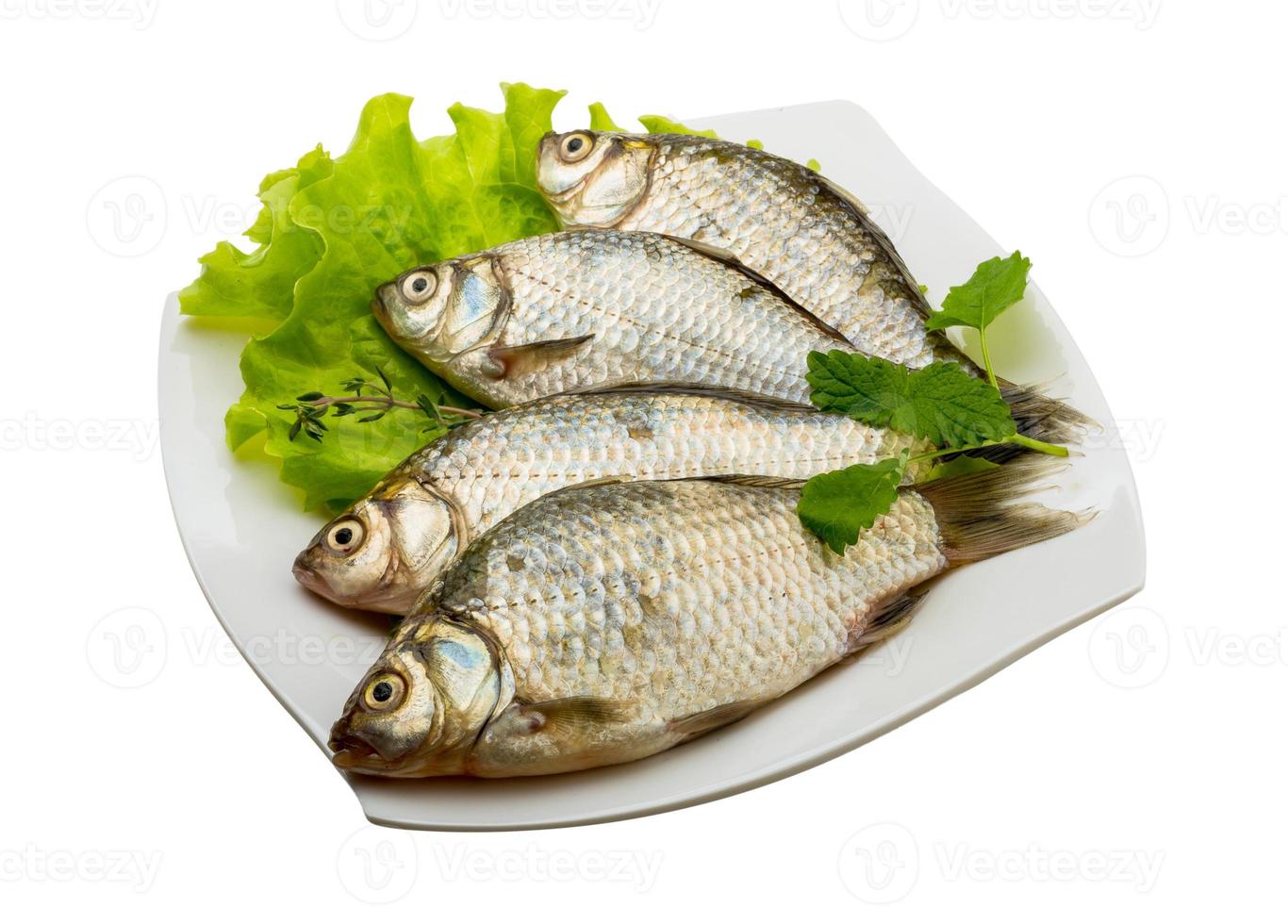 crucian vis Aan de bord en wit achtergrond foto