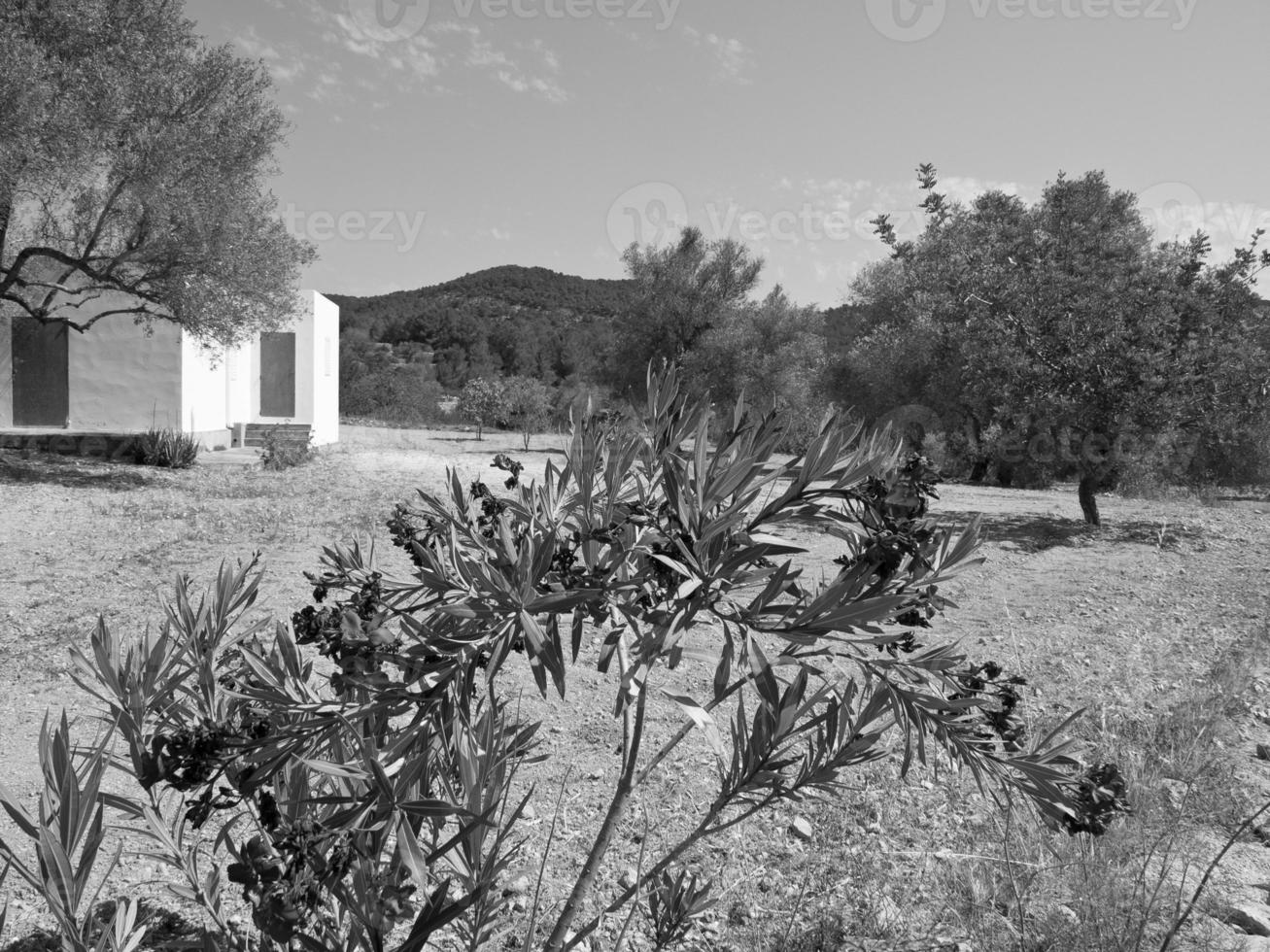 ibiza eiland in spanje foto