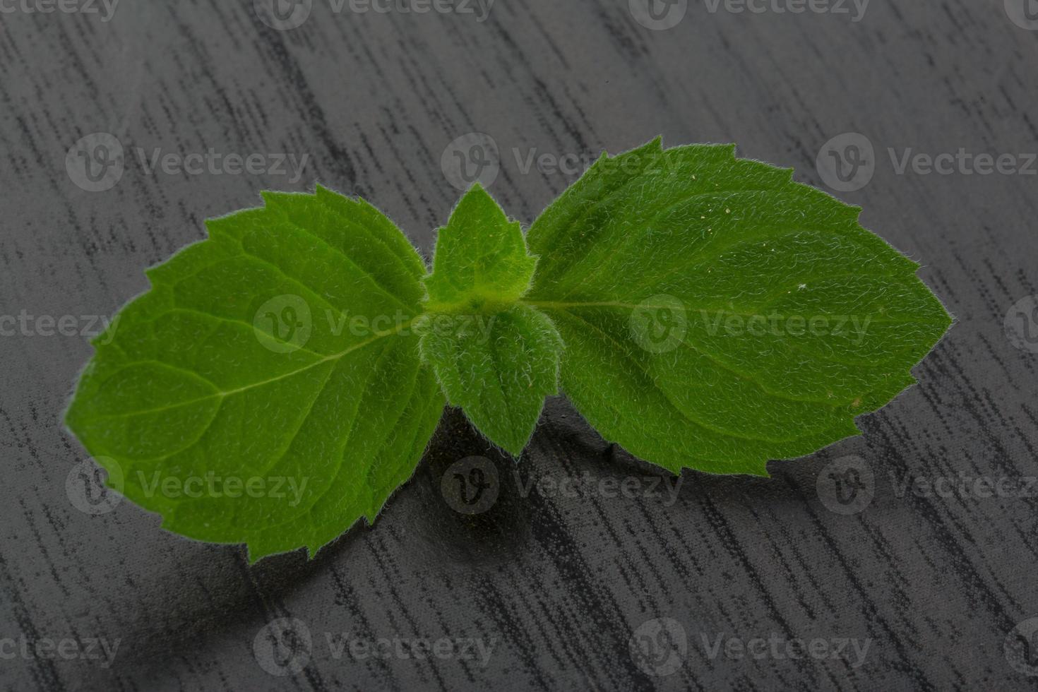 munt bladeren Aan houten achtergrond foto