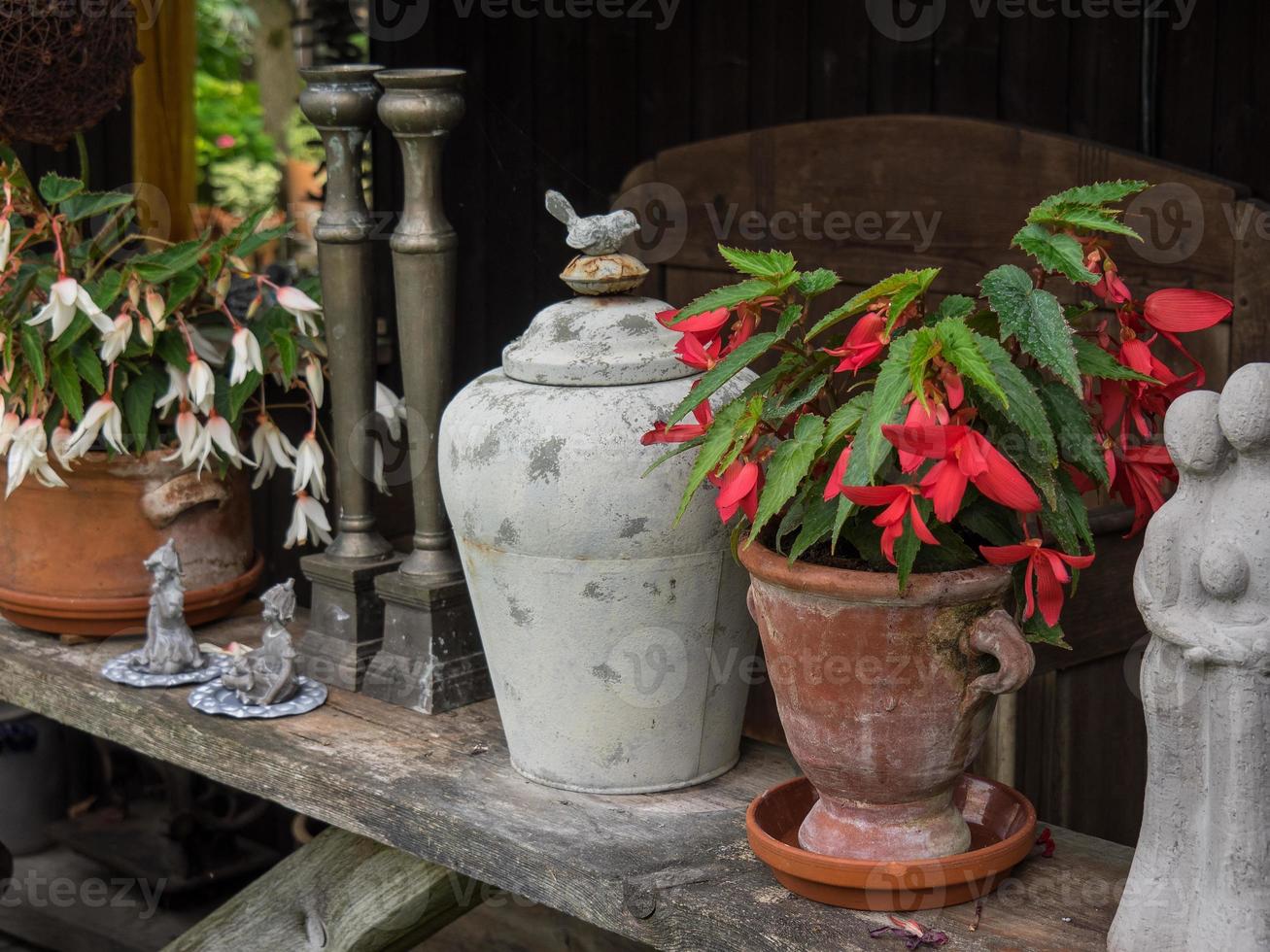 bloeden bloemen in een Duitse tuin foto