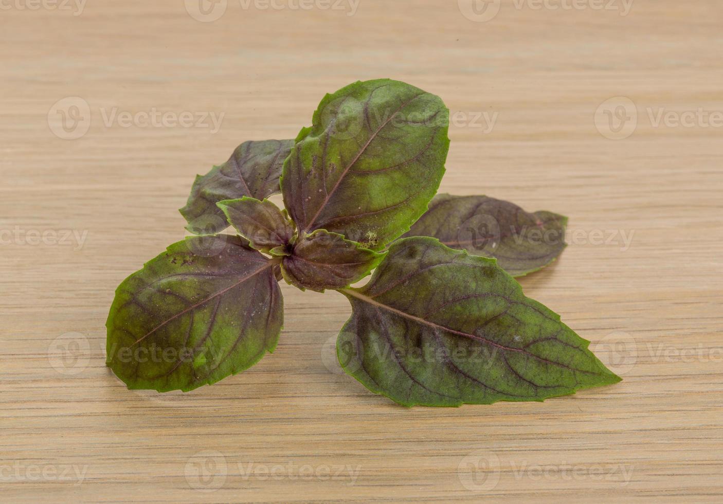 basilicum bladeren Aan houten achtergrond foto