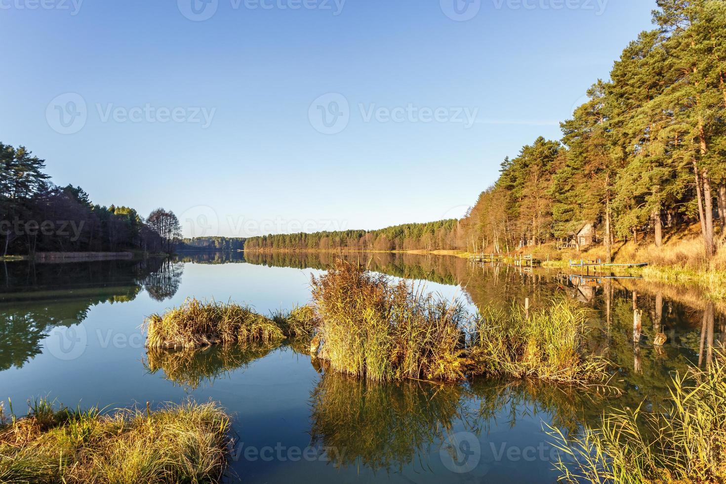panorama van prachtig landschap van breed meer in pijnboomgaard Woud foto