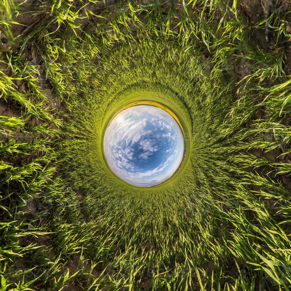 blauw lucht bal tussen groen gras. inversie van klein planeet transformatie van bolvormig panorama 360 graden. bolvormig abstract visie. kromming van ruimte. foto