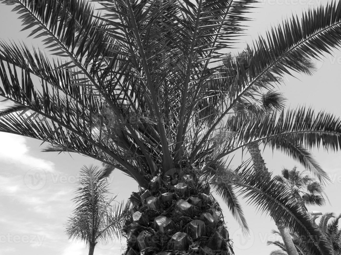 lanzarote eiland in spanje foto