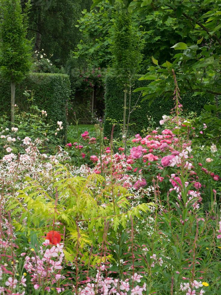 zomer tuin in Westfalen foto