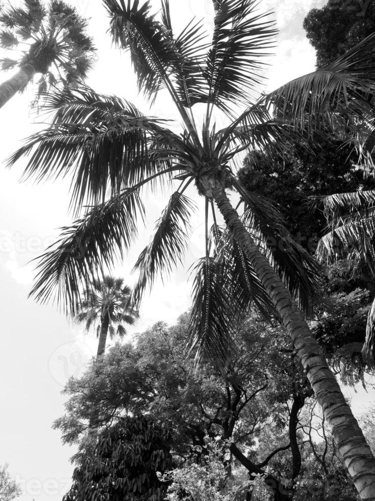funchal en het eiland madeira foto