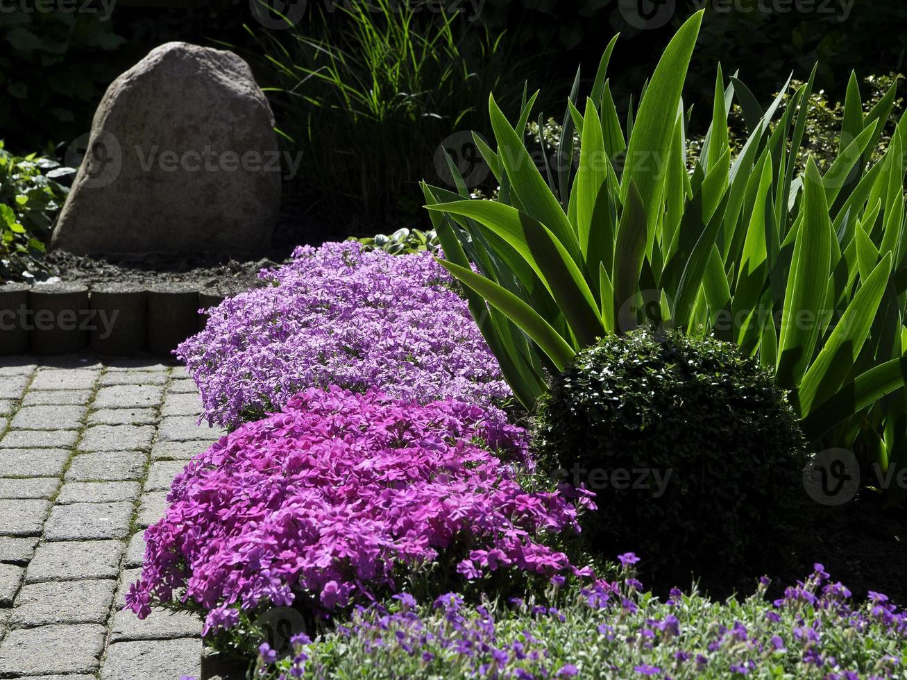 zomertijd in een Duitse tuin foto