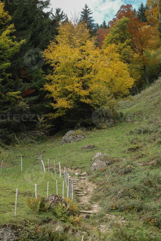 de Duitse Alpen foto