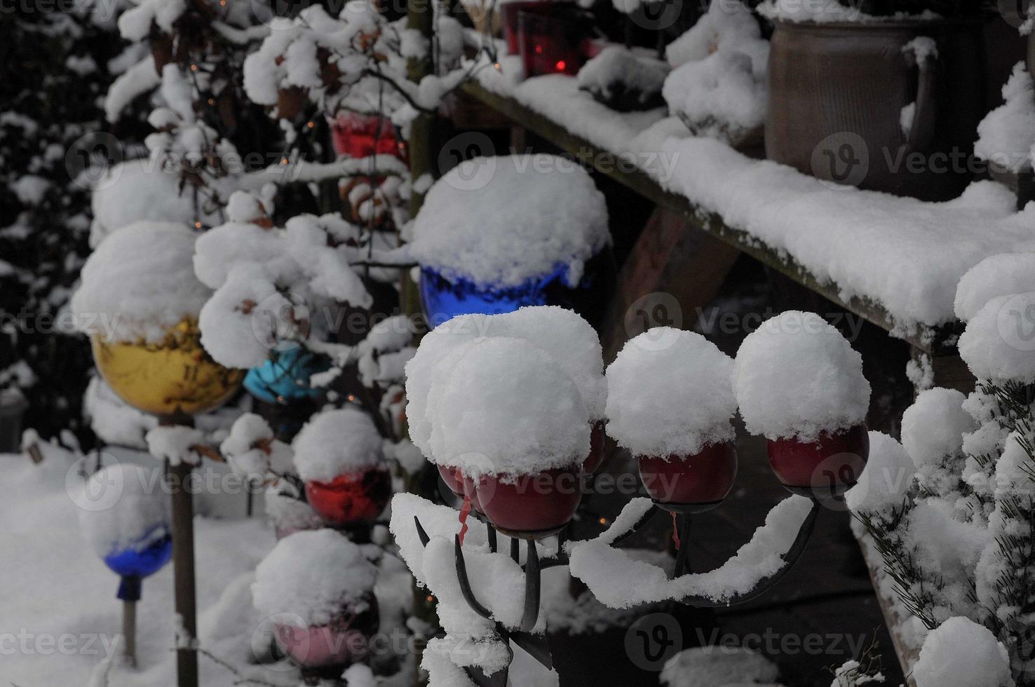 winter in de tuin foto