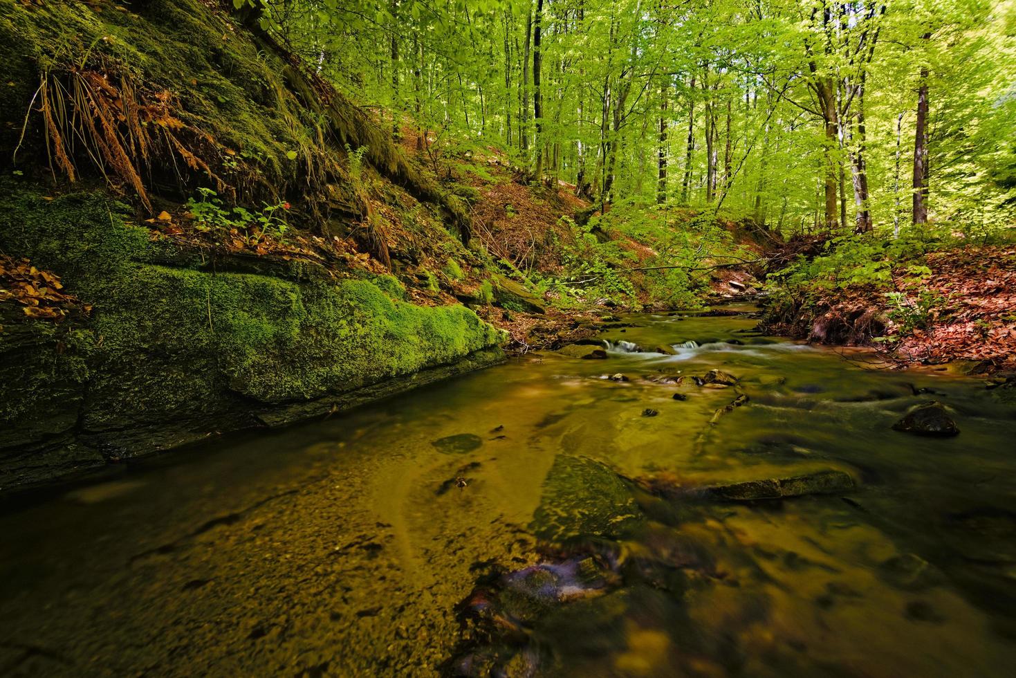 rivier- in de berg foto