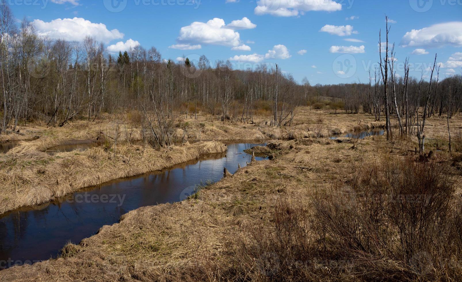 voorjaar landschap van droog gras en bomen en een klein Woud rivier- foto