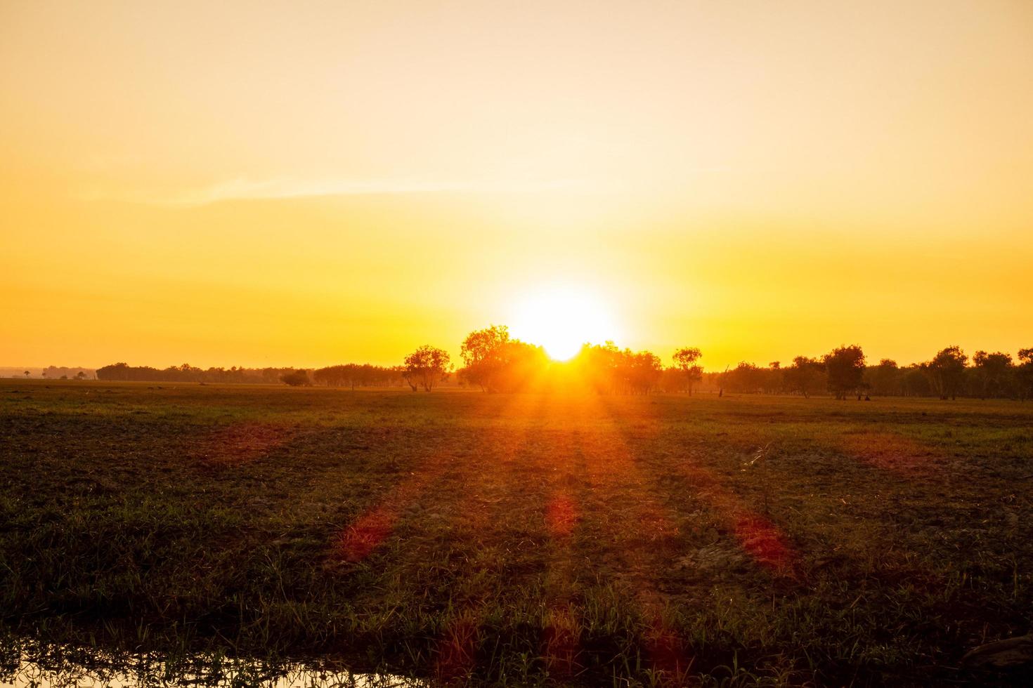 zonsopkomst Bij de billabong foto