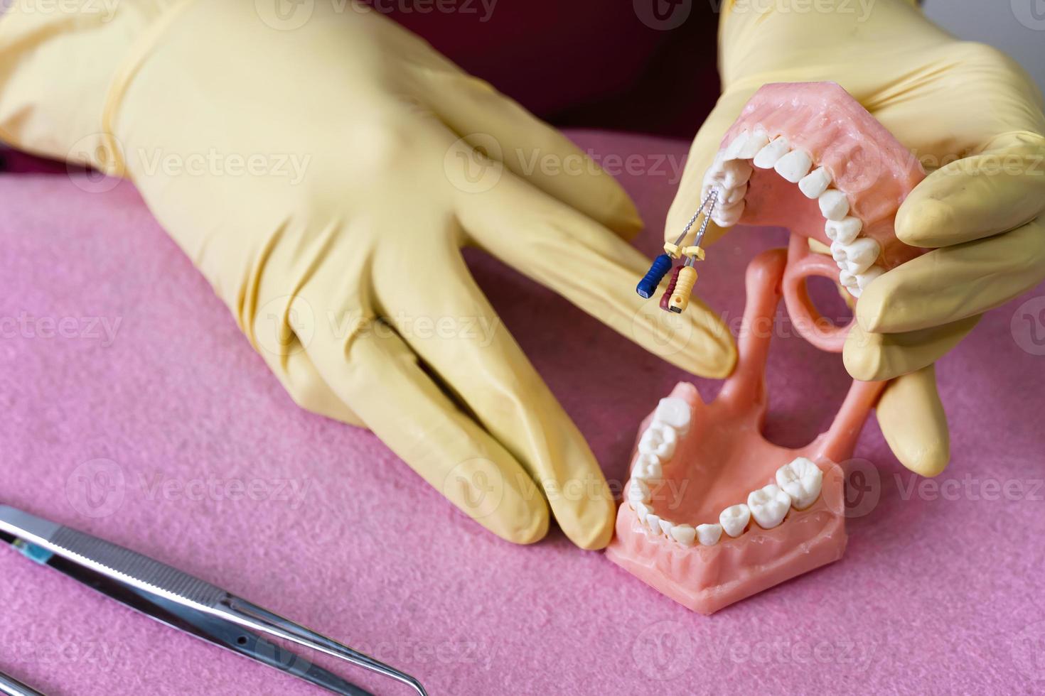de tandarts is Holding kunstgebit in zijn handen. foto