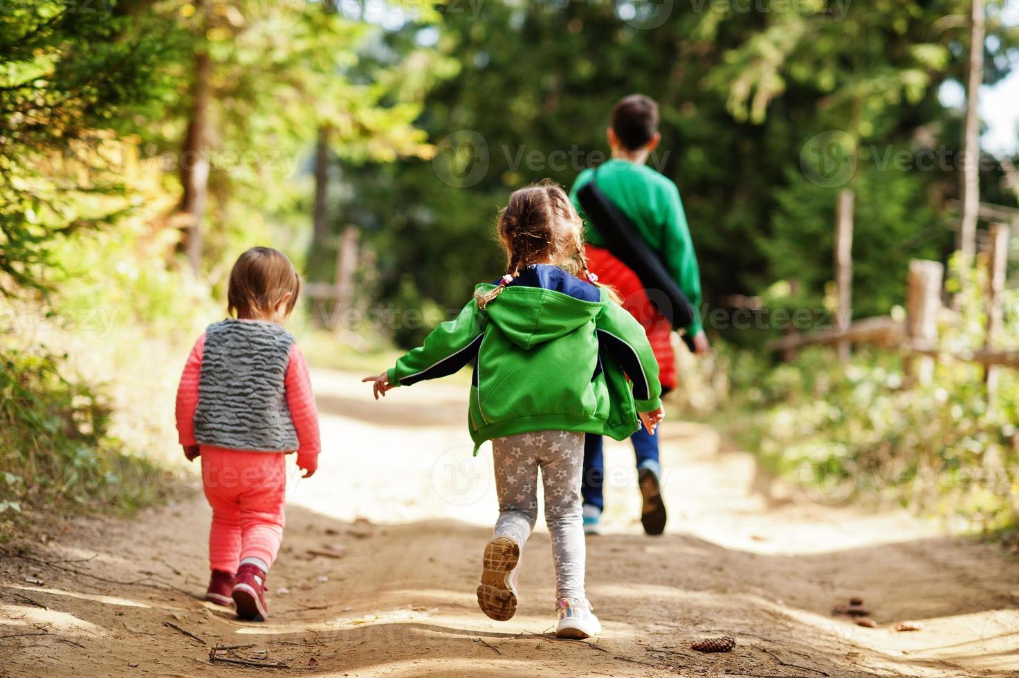 achterkant van drie kinderen lopen op houten bergen. familie reizen en wandelen met kinderen. foto