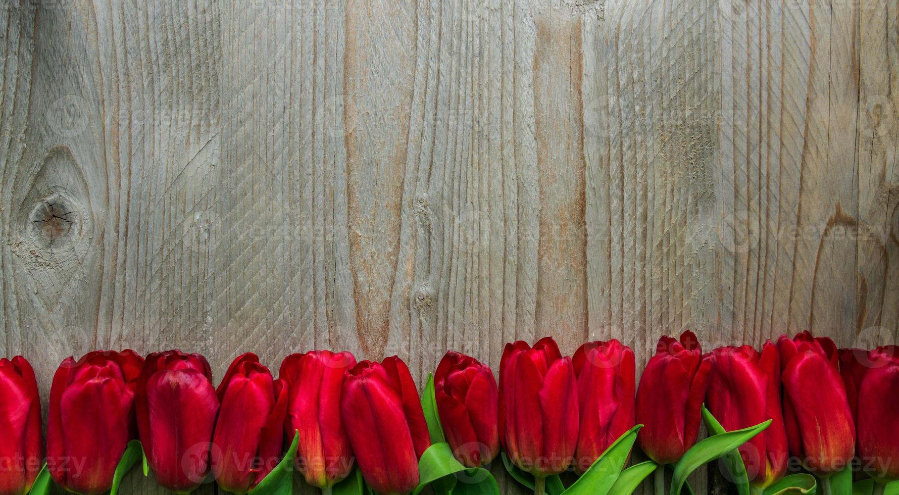 feestelijk groet kaart met boeket van bloeiend rood tulpen. voorjaar achtergrond met kopiëren ruimte. foto