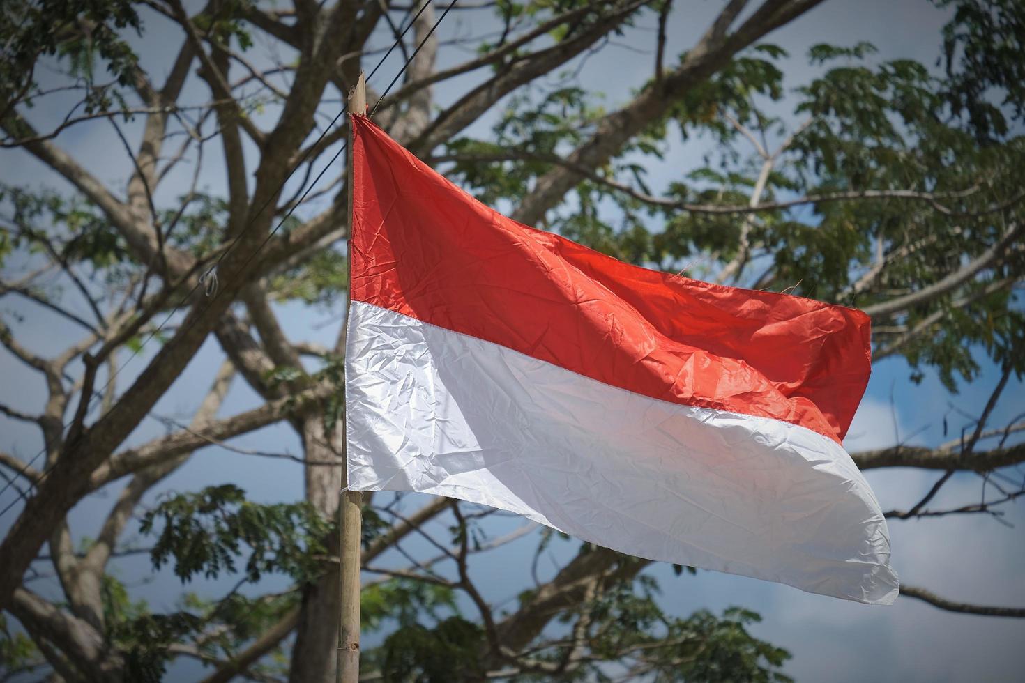 foto van indonesisch vlag
