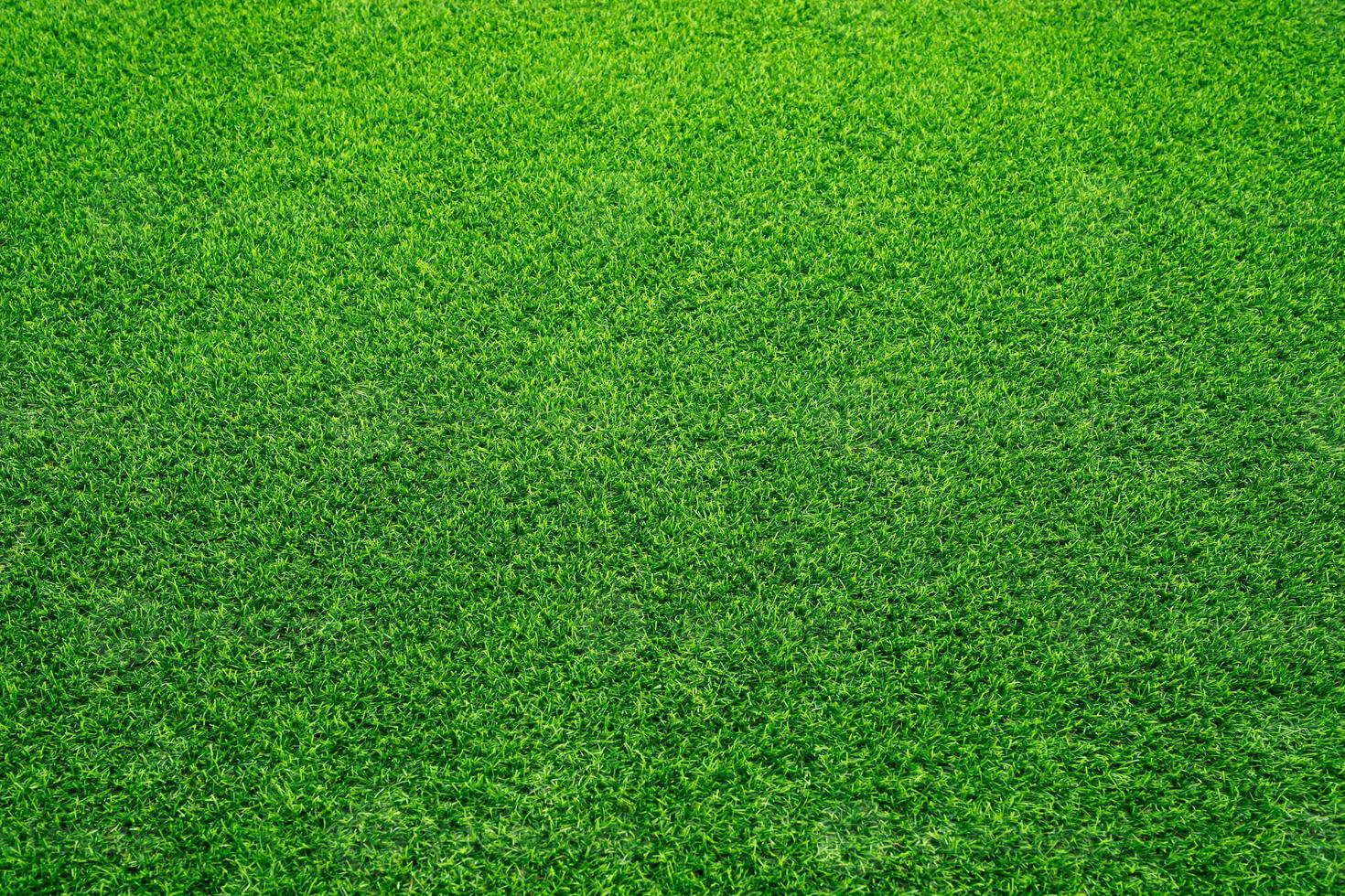 gazon Bij huis toenemen groen ruimte toenemen zuurstof foto