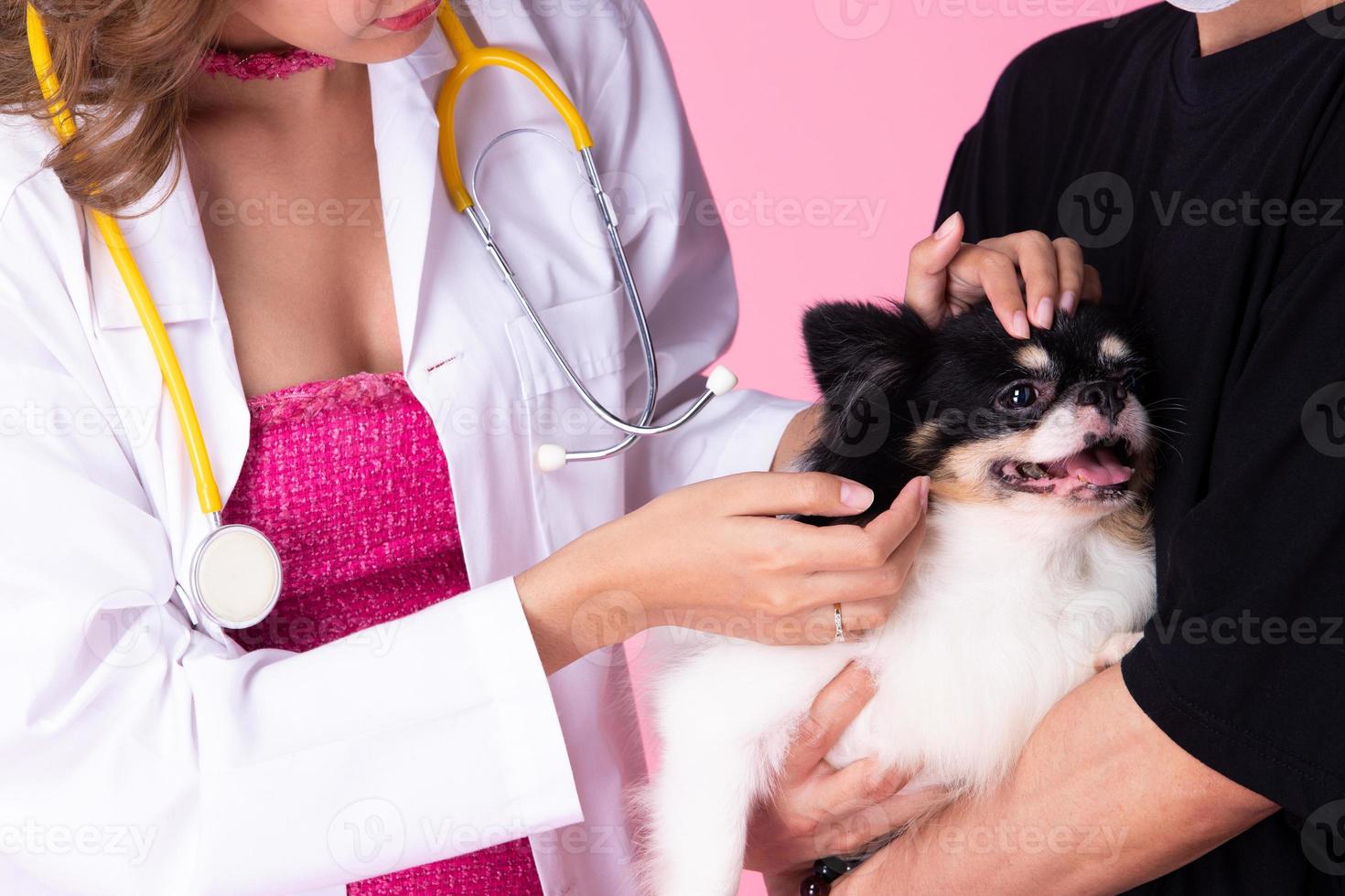 dierenarts dokter slijtage eigenwijs roze jurk, controleren omhoog oud ziek hond voor Gezondheid staat foto