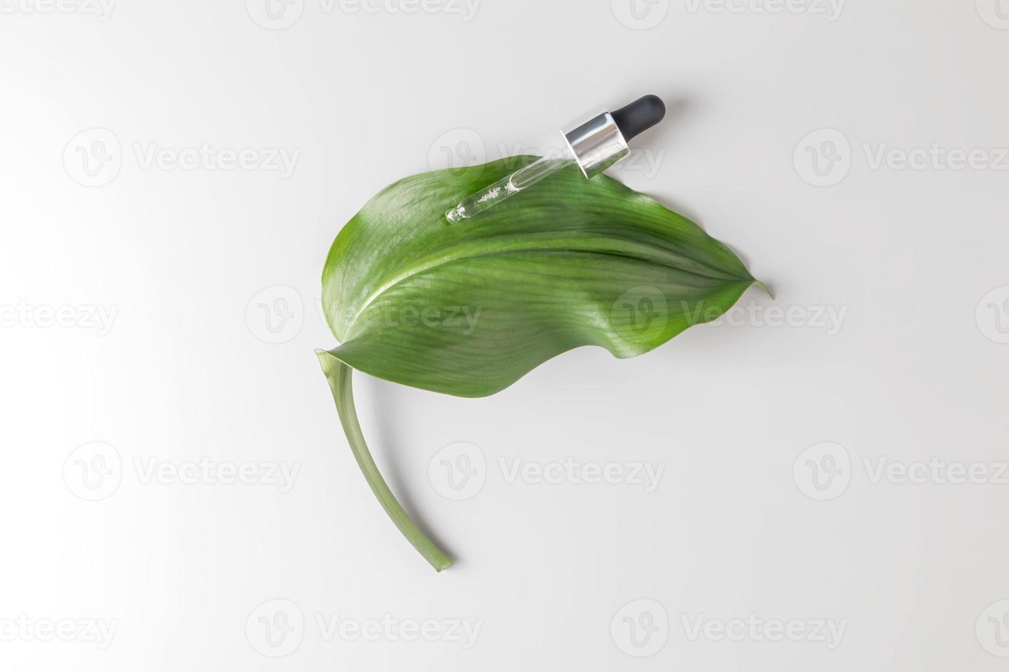 detailopname pipet met een hyaluronzuur hydraterend serum Aan een grijs achtergrond met groen tropisch blad. schoonheid huid zorg concept schoonheid en spa. foto